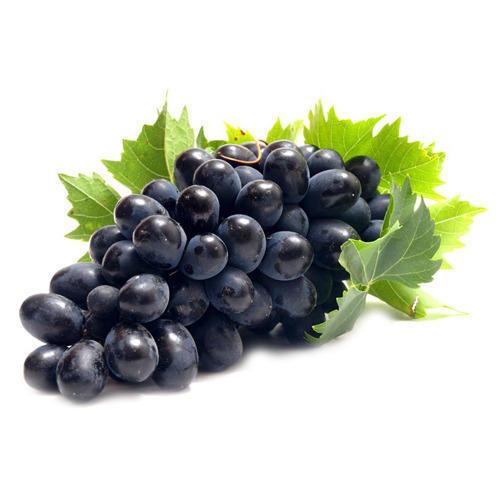 Vitro Black Üzüm Fidanı