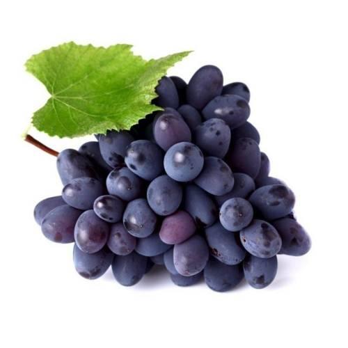 Antep Karası Üzüm Fidanı