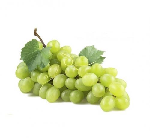 Superior Seedless Üzüm Fidanı
