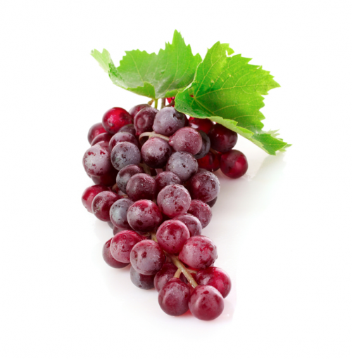 Crimson Seedless Üzüm Fidanı 