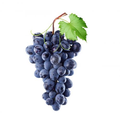 Öküzgözü Üzüm Fidanı 