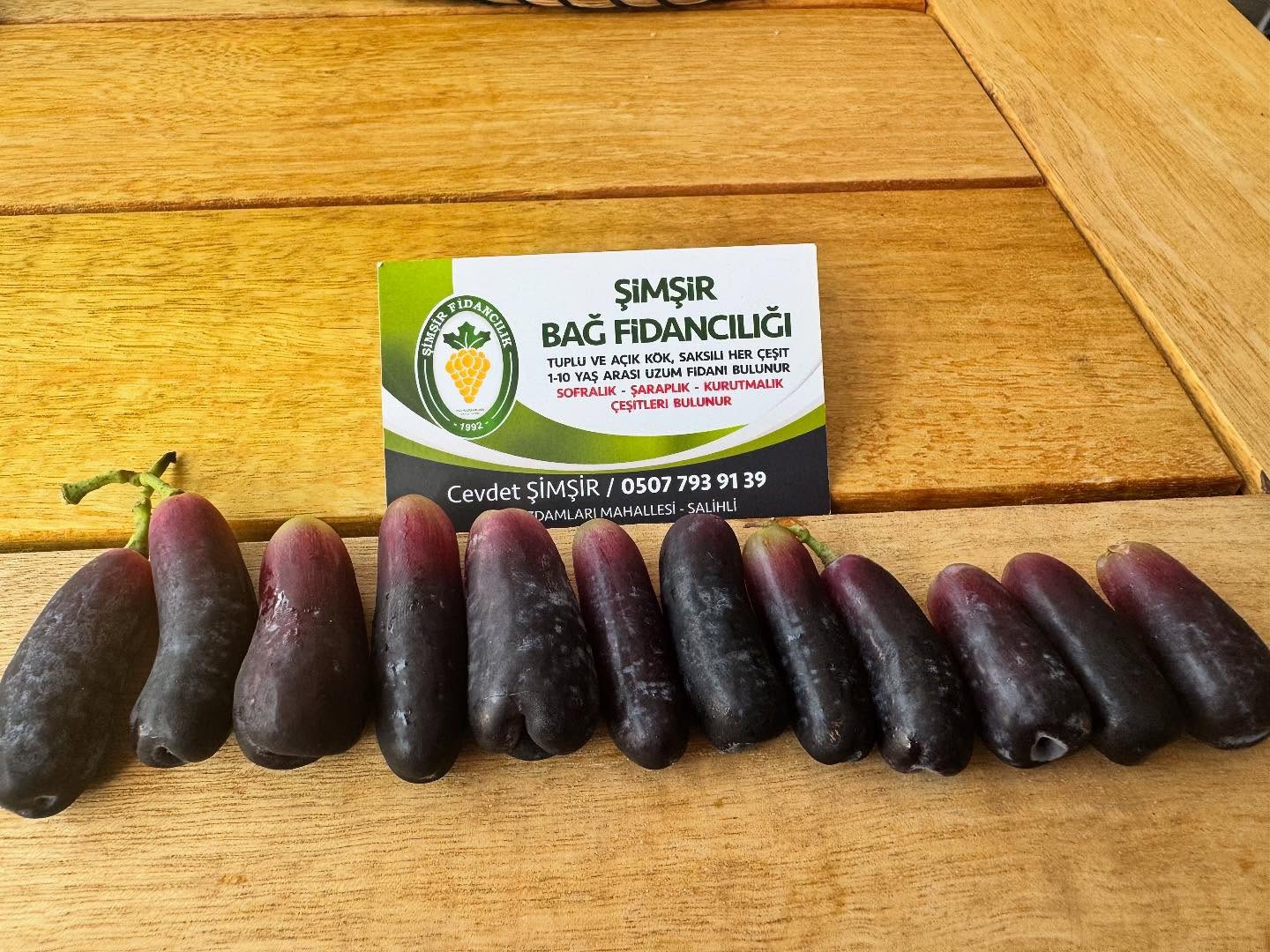 Patlıcan üzümü ( avatar ) 