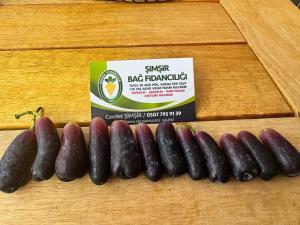 Patlıcan üzümü ( avatar ) 