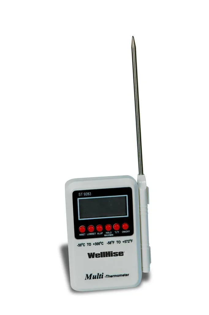 Wellhise ST-9283 Daldirma Tipi Termometre Profesyonel Gıda